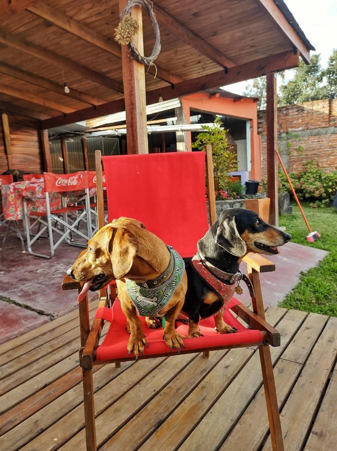 Cabana La Herencia Villa San Salvador de Jujuy Ngoại thất bức ảnh